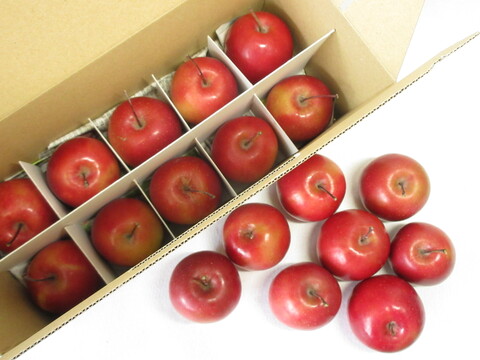【超希少品種】果肉まで赤～いりんご『栄紅』超かわいいサイズちょっとB品18個(約2kg)