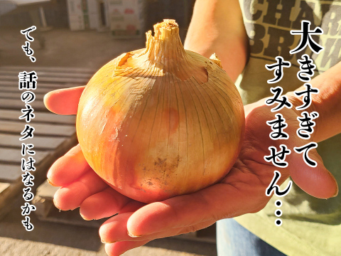 あま〜くて美味しい淡路島産完熟玉ねぎ少し訳あり品20kg 淡路島産 たまねぎ 訳あり20kg【飲食店向け】玉葱タマネギ