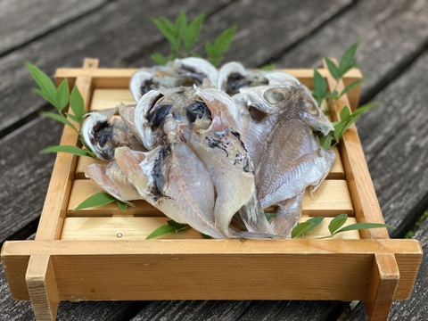 【大容量】魚の旨みがしっかり味わえる魚デン2kg(1PC✖️2)