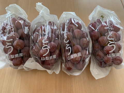 M&Mさま専用☆ぶどう☆クインニーナ☆2kg化粧箱