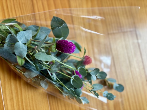 【にこにこユーカリ&千日紅セット】リース、スワッグ、ドライなどに山形県さがえ産【グニーユーカリ】50cm~60cm3本【千日紅・ストロベリフィールドとネオンローズ】30cm～40cm5本 花のある生活