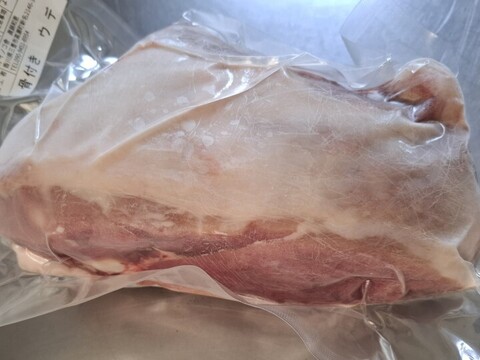 ジビエ　イノシシ【骨付き】ウデ　1040g