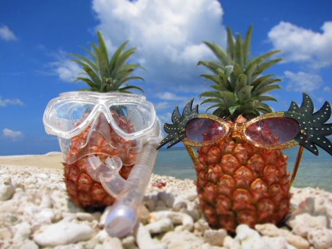 転換期間中 JASオーガニック!  桃のような甘い香り！プレミアム完熟ミニピーチパイン『沖縄県西表島パイナップル』３ｋｇ（６～８個）