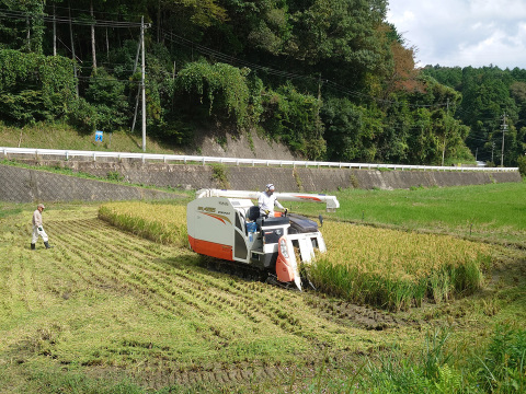 【令和7年新米】最高評価「特Ａ」獲得の極上米 ミネアサヒ 5kg 化学肥料不使用 農薬節減栽培 白米 玄米 ギフト対応可