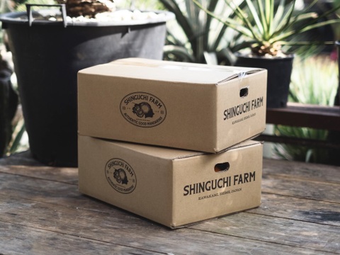 【訳あり】不知火（デコ）2kg