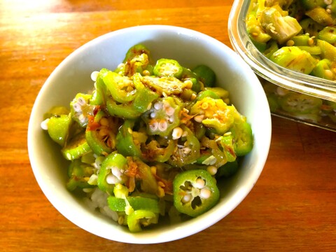 (単身者向け)未来へつなぐ 固定種・在来種 自然栽培野菜セット60サイズ　農薬不使用　有機肥料含む全ての肥料不使用