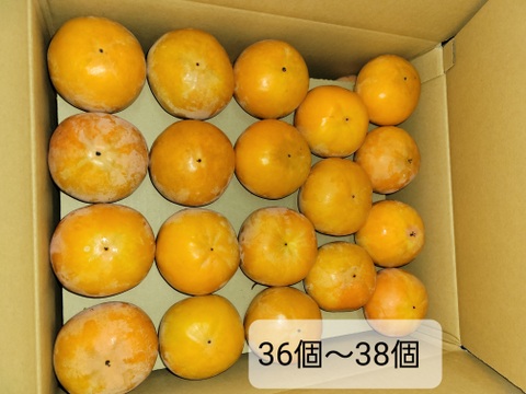 ☆彡秋の大豊作祭☆彡　和歌山県産　　富有柿　極甘(秀品)7.5キロ　Mサイズ