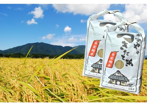 農家直送！新潟コシヒカリ玄米10kg 2025年11月～順次発送】令和7年産 コシヒカリ 玄米 10kg×1袋