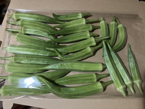 オリジナルにんにく塩付き♪自然栽培五角オクラ350g♪