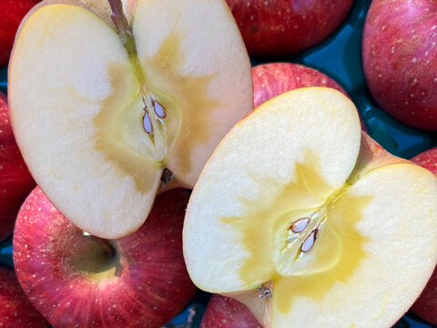 生玉農園一番人気の美味しいりんご！ 家庭用 信州りんご🍎 葉とらず サンふじ 3キロ箱 7～11玉