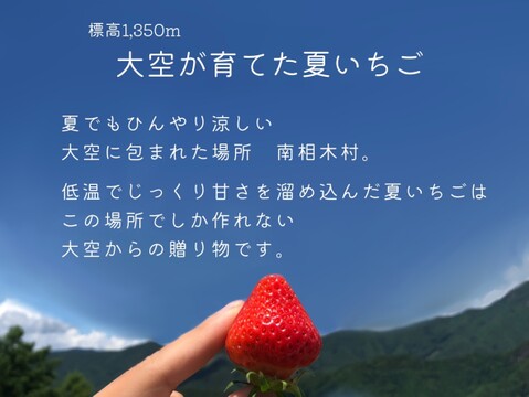 【子どもが喜ぶ夏イチゴ】と【濃厚!! 夏イチゴの甘酒『苺姫 無垢』】のセット!!  お歳暮・お祝い・お誕生日にオススメ