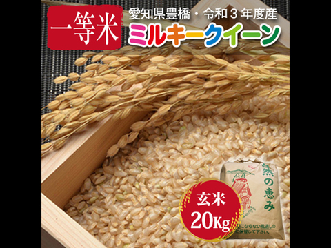 【節減対象農薬6割減・一等米】ミルキークイーン 玄米20g（10㎏×2袋）【令和3年・愛知県産】