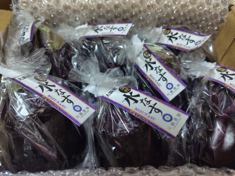 生でガブっと！絶品泉州水なす7房