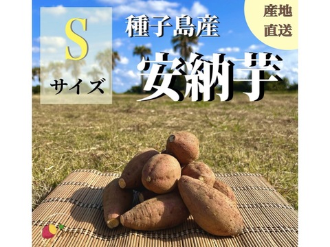 【期間限定】種子島産 新じゃが(M・L・2L)＆熟成安納芋(Sサイズ)｜合計 20kg 旬の味わいセット🍠🥔