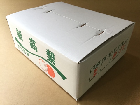 梨の王様👑　千葉県産【新高】5㎏　大玉『5玉～8玉入』市川のなし・フルーツキャップ個装