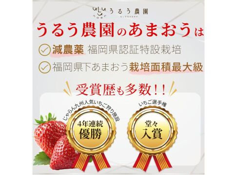 【お歳暮ギフトに】特選あまおう 400ｇ【冬ギフト】