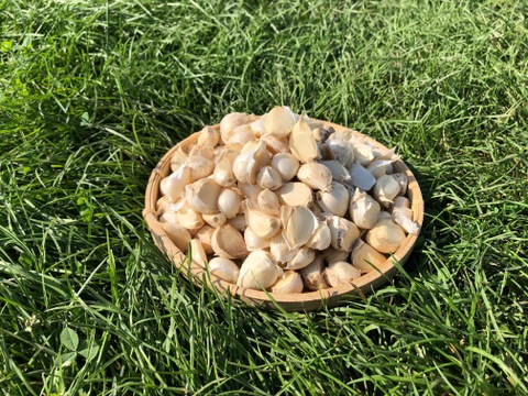 【毎年２万箱売れてます！】３キロ！ 青森県産にんにく 最高級品種 ホワイト６片「白玉王」家庭用バラ