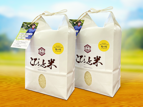 【令和7年産・新米】栽培期間中農薬不使用【亀の尾】白米・4kg　あっさりとした上品な味わい　こぴっと米