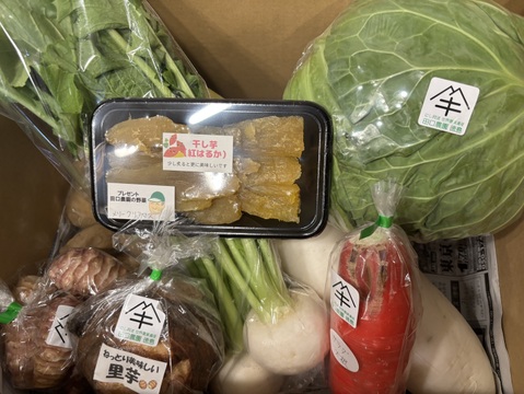 定期便設定（お届け日は２～３日前後します）【たっぷりいろいろ　２０００円セット】農家人が選ぶ旬野菜のおまかせセットです。季節ごとの旬の世界農業遺産ブランド野菜を厳選してお届け致します。
