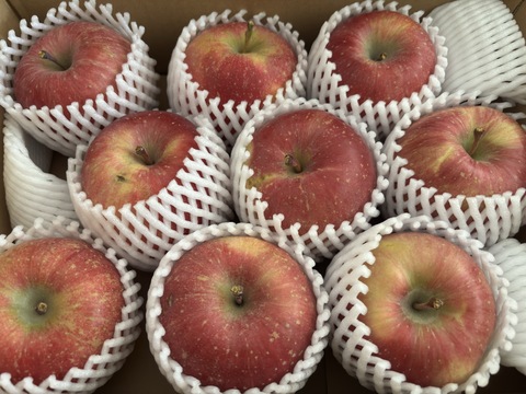 【販売中！人気商品】青森県産りんご「サンふじ」家庭用 キズ有 約3kg 【美味・光センサー選果済】