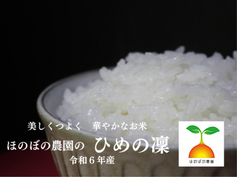 【夜市限定】大粒で甘みのあるお米✨10㎏ 令和6年産｢ひめの凜｣