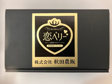 訳あり　「恋ベリー」を贅沢に使った濃厚パスタソース　300ｇ×3