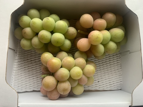 ク⑤【緑・色劣りクイーンニーナ】2kg化粧箱（4~6カット房）