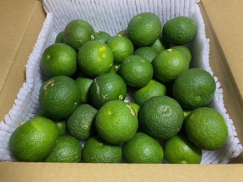 【特別なお裾分け】 すだち 1Kg　感謝を込めた特別価格