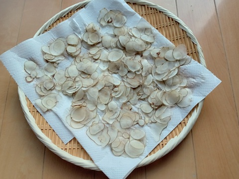 【販売開始】赤菊芋１キロ（有機認証）話題の健康野菜