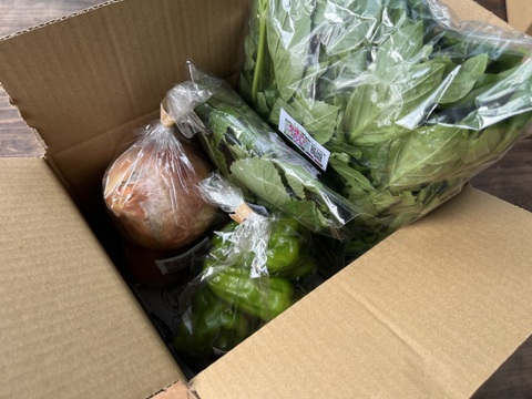 タイ料理好き必見！おうちでガパオセット☆有機JAS認証☆