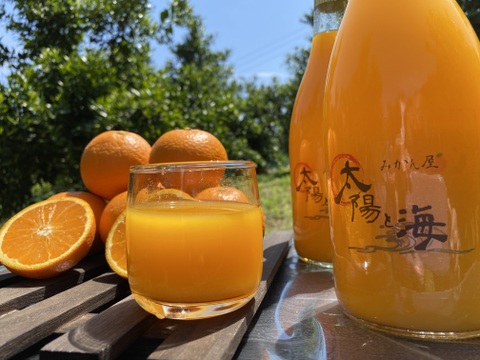 愛媛のみかんジュース⭐︎飲み比べ3本セット
