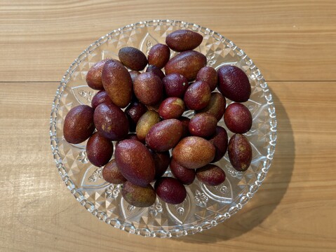 森のキャビア◆フィンガーライム 100g