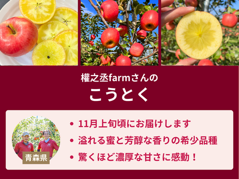 【売り切れ】 【限定200セット】感動の美味しさ！とっておき果実便※あまりん1月下旬〜2月中旬お届け（食べチョク公式）