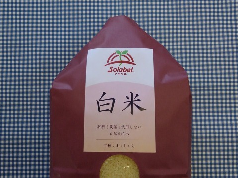【りえりえ様専用】♥️白米(4分つき)3kgと1kg♥️味噌250g♥️