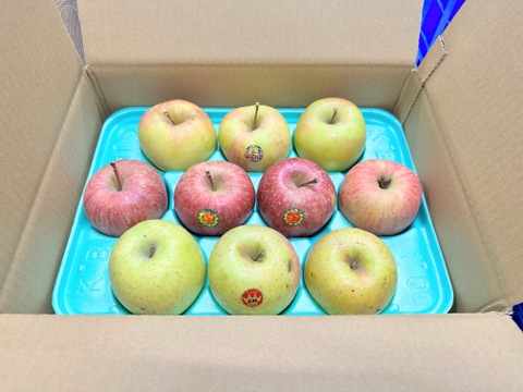 りんごグランプリ2025カラフルりんご賞受賞🎊【12月発送】りんごグランプリエントリーセット（家庭用3kg・7~12玉）