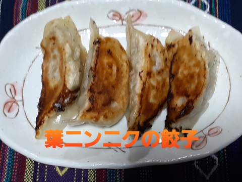 売り尽くしセール❣訳あり 葉ニンニク1ｋｇ　レシピ付き