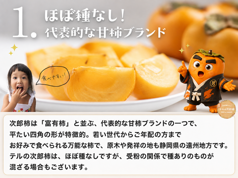【2026年11月1日出荷開始〜】ご家庭用 中玉32〜36玉入り　⁂大人が選ぶ次郎柿⁂
