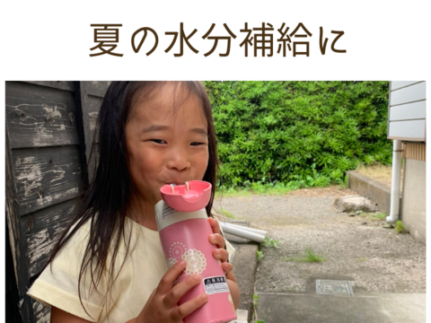 希少部位　真（ジン）100％使用　水出し緑地1リットル用5g✖️30パック春の一番茶　プレミアム水出し緑茶　数量限定