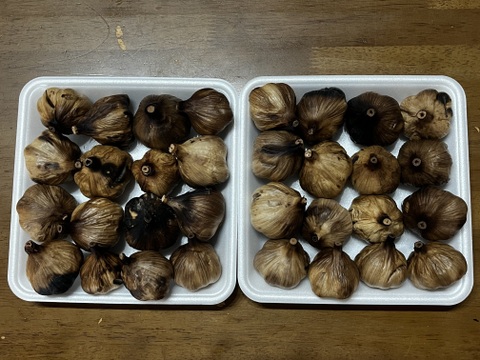 売り切り　お値下げ価格　20 自然栽培　黒にんにく 人気　たっぷり32個
令和7年度新物　食べやすくて美味しい