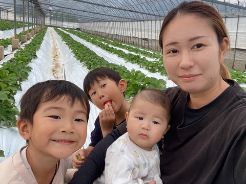 お買い得♪ジャム用いちご（ゆうべに）2kg