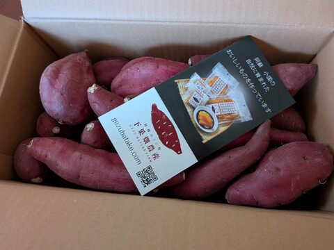 令和7年産定温貯蔵で熟成しました!!　甘くてしっとり♡　阿蘇小国のシルクスイート（４ｋｇ）