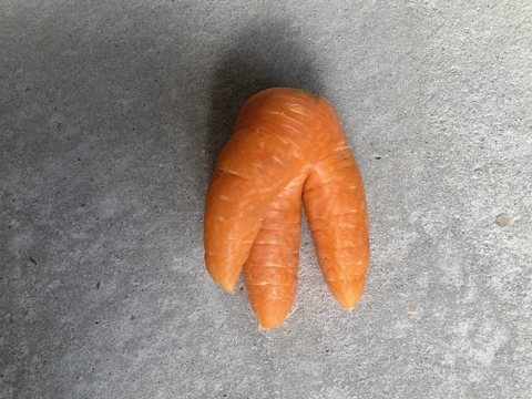 甘み旨みたっぷり！訳あり人参！栄養価コンテスト人参部門最優秀賞受賞！訳あり人参5kg 化学合成農薬・化学肥料・除草剤不使用！割れ　ヒビ　又割れ　傷　少々の虫食い　味は通常人参と同じ！　個性豊かな人参