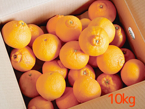 【ご予約受付中】不知火(デコみかん)【贈答用(特選品)】5kg 322-1