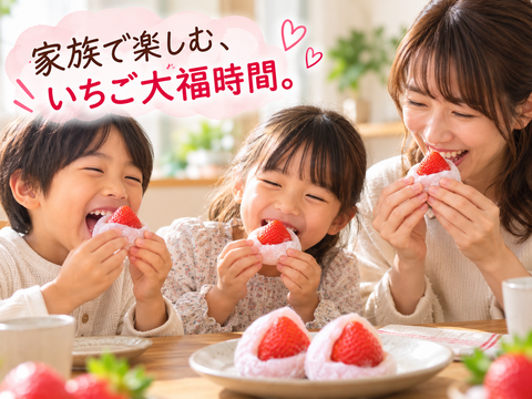 【予約販売 2026年12月中旬～順次発送】あまおう大福セット (あまおう苺約250～270g 1パック（約540g）＆大福6個)