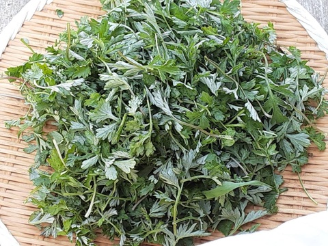 奥出雲産自然栽培よもぎ茶(大容量400g)