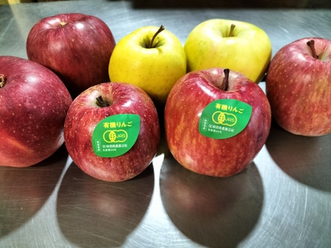 オーガニックりんごと他品種詰め合わせ3キロ（８〜１２玉）