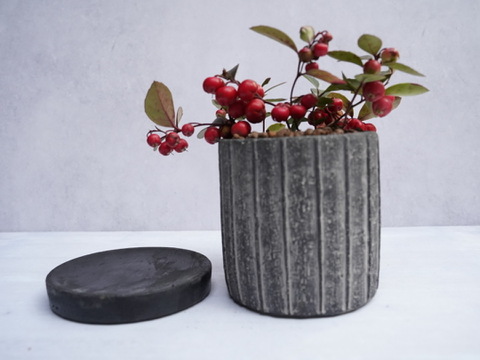 ミニ盆栽【チェッカーベリー × 黒縞陶器】高さ約17cm×横約15cm【夜市限定】