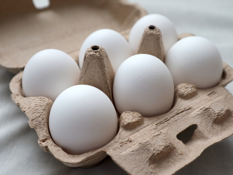 【富山県のお米で育った鶏が自慢です！】ひら飼い 米寿の卵 白玉6個入×4パック(24玉)