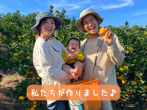 超ジューシー！ゆら早生 有田みかん 3ｋｇ 家庭用