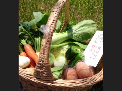 「有機JAS認証」旬の野菜セット L 8~10品